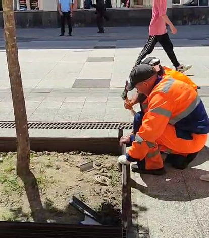 На проспекте имени Петра Столыпина силами МБУ «Спецавтохозяйство по уборке города» начаты работы по приведению приствольных квадратов в надлежащее состояние..