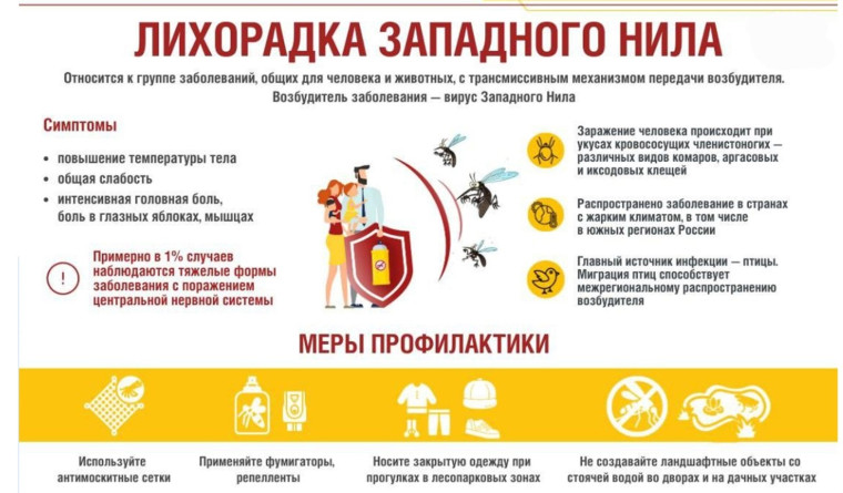 Памятка о профилактике лихорадки Западного Нила. Памятка о профилактике лихорадки Западного Нила.